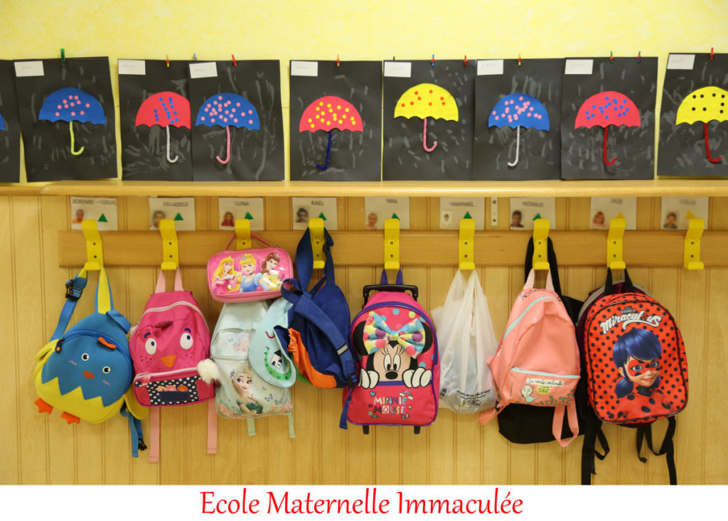 operation-nettoyons-la-nature-ecole-immaculee-photos