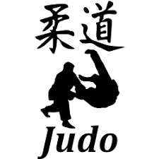 au-programme-judo-pour-les-classes-de-ce1-et-cm1-de-limmaculee-ecole