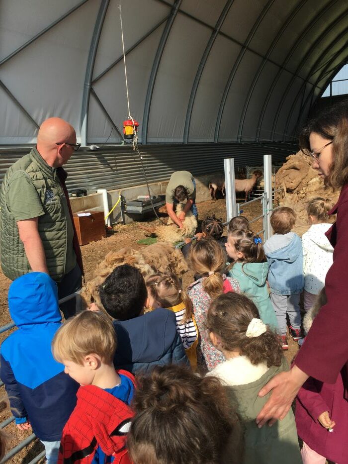 visite-de-la-ferme-pedagogique-ps-de-limmaculee