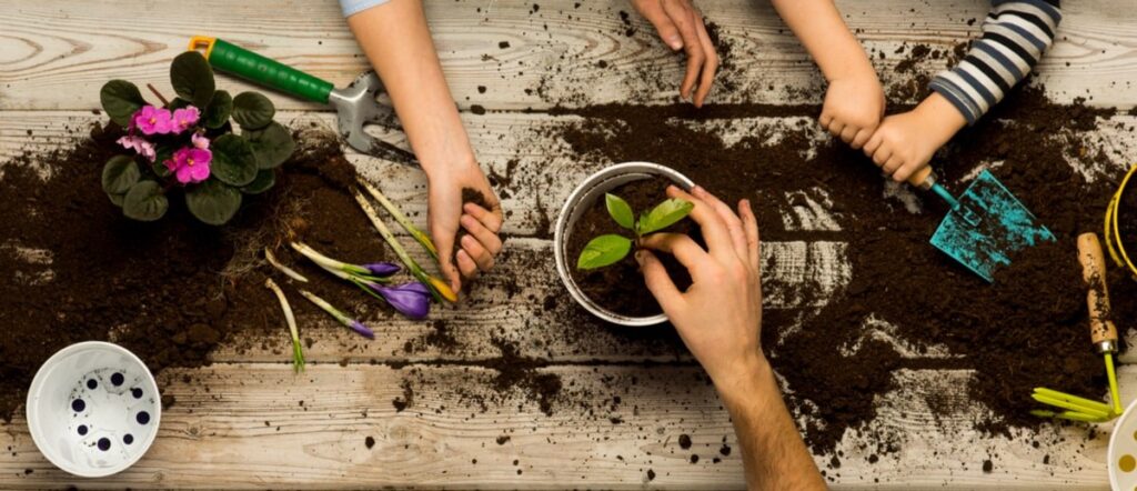 les-eco-delegues-au-jardin