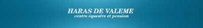a-dada-sur-mon-poney