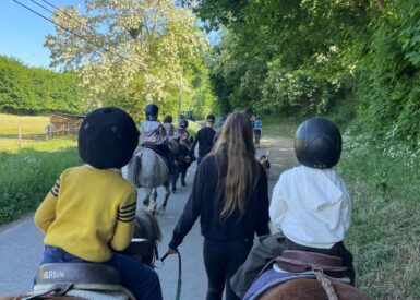sortie-scolaire-de-fin-dannee-au-haras-de-valeme-pour-les-ms