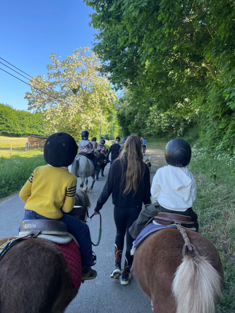 sortie-scolaire-de-fin-dannee-au-haras-de-valeme-pour-les-ms