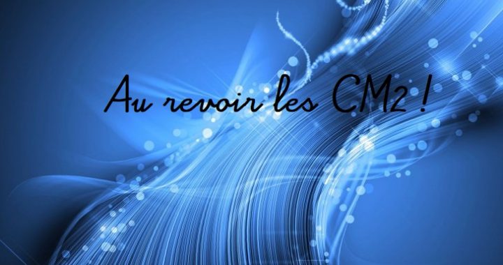 ceremonie-de-fin-dannee-pour-les-cm2