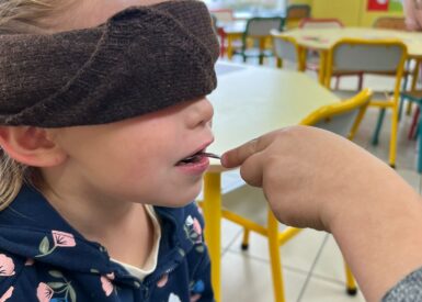 la-semaine-du-gout-en-maternelle