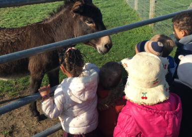sortie-a-la-ferme-pedagogique-pour-les-maternelles-a